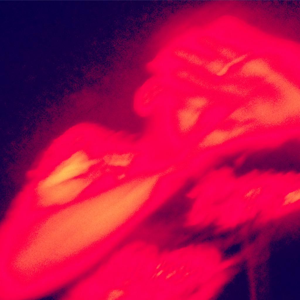 s_galasso's tweet photo. #HighFunctioningFlesh #DaiusRecords http://t.co/JUUWayQwT3
