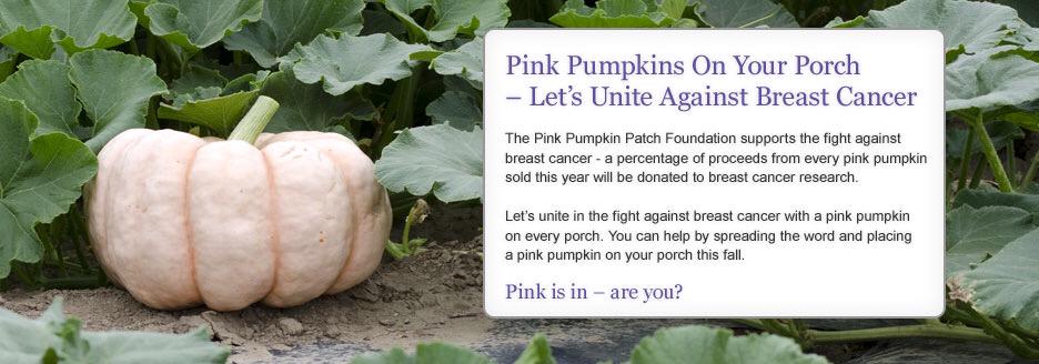 CheyennesMarket's tweet photo. #pinkpumpkins #pinkpumpkinpatchfoundation #fightlikeagirl #breatcancerfundraiser
@CheyennesMarket http://t.co/UyfT2IyXvk