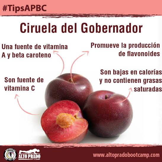 altopradobootca's tweet photo. Propiedades de la #ciruela. Son muy útiles para el sistema digestivo, ya que aportan fibra y sorbitol. #TipsAPBC http://t.co/gkMKYIgHDW