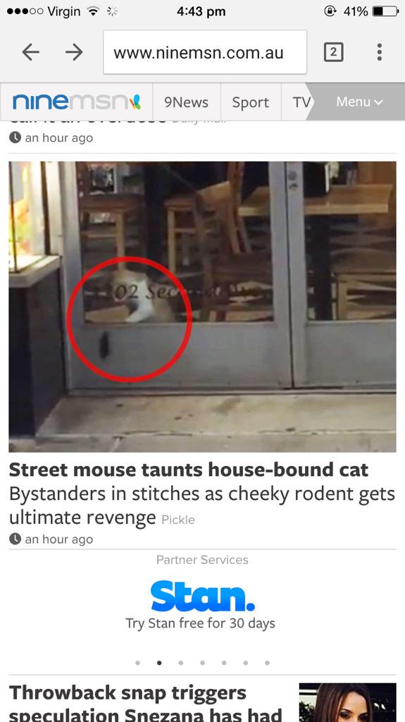 #arts2091CJ Accidental journalism.                     Turn of events for Cat mouse chase