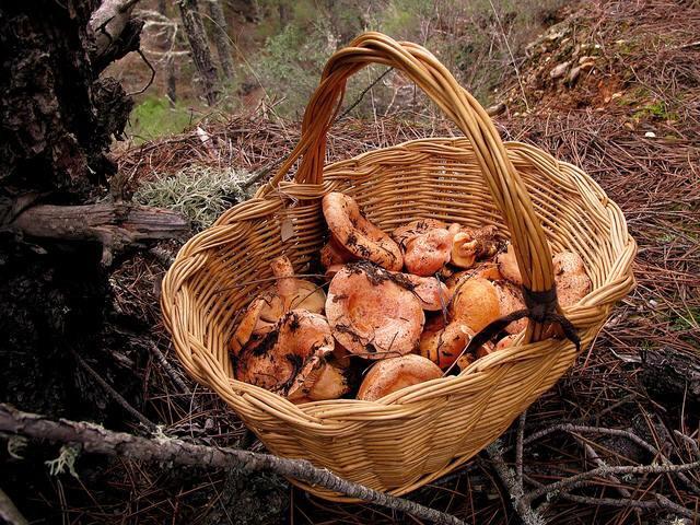 NomolestenCom's tweet photo. ¿Conseguirás llenar una de éstas?
Aquí tienes nuestros #hotelesconencanto cerquita...
 http://t.co/sG4PDH0KRD http://t.co/1ObFMNZ4FV