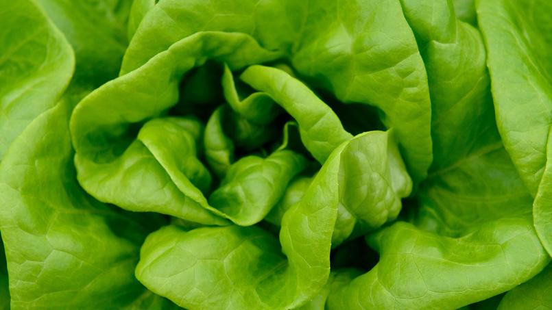 Stéphane Chemin༝ tweet media