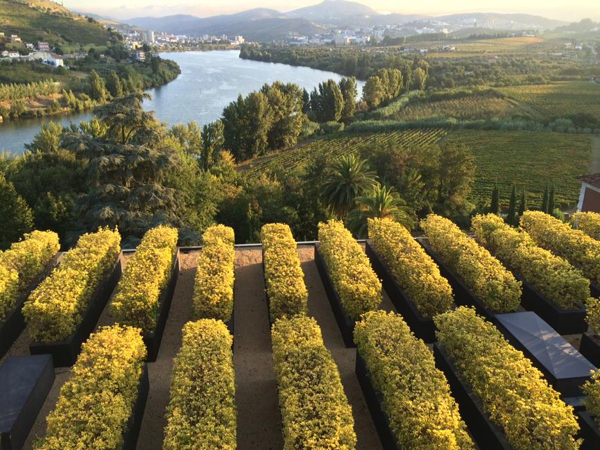 Bill Ward tweet media