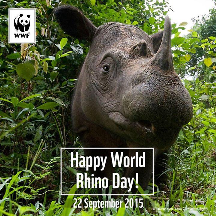 IKMB_UNDIP's tweet photo. Wilujeng siang sadayana!! admin mau ngucapin Happy World Rhino Day....Tetap lindungi badak-badak kita ya http://t.co/wfUYxP0AGr
