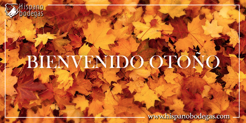 Hispanobodegas's tweet photo. Adiós #verano... hola #otoño!
#BuenosDias http://t.co/kV0gH821U9
