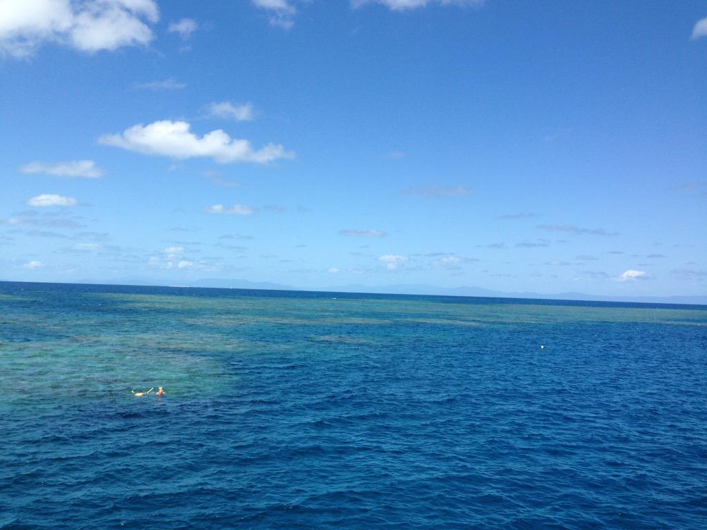 jamesonovan's tweet photo. Scuba diving in the Great Barrier Reef, ✔️ http://t.co/LydGvtAJCP