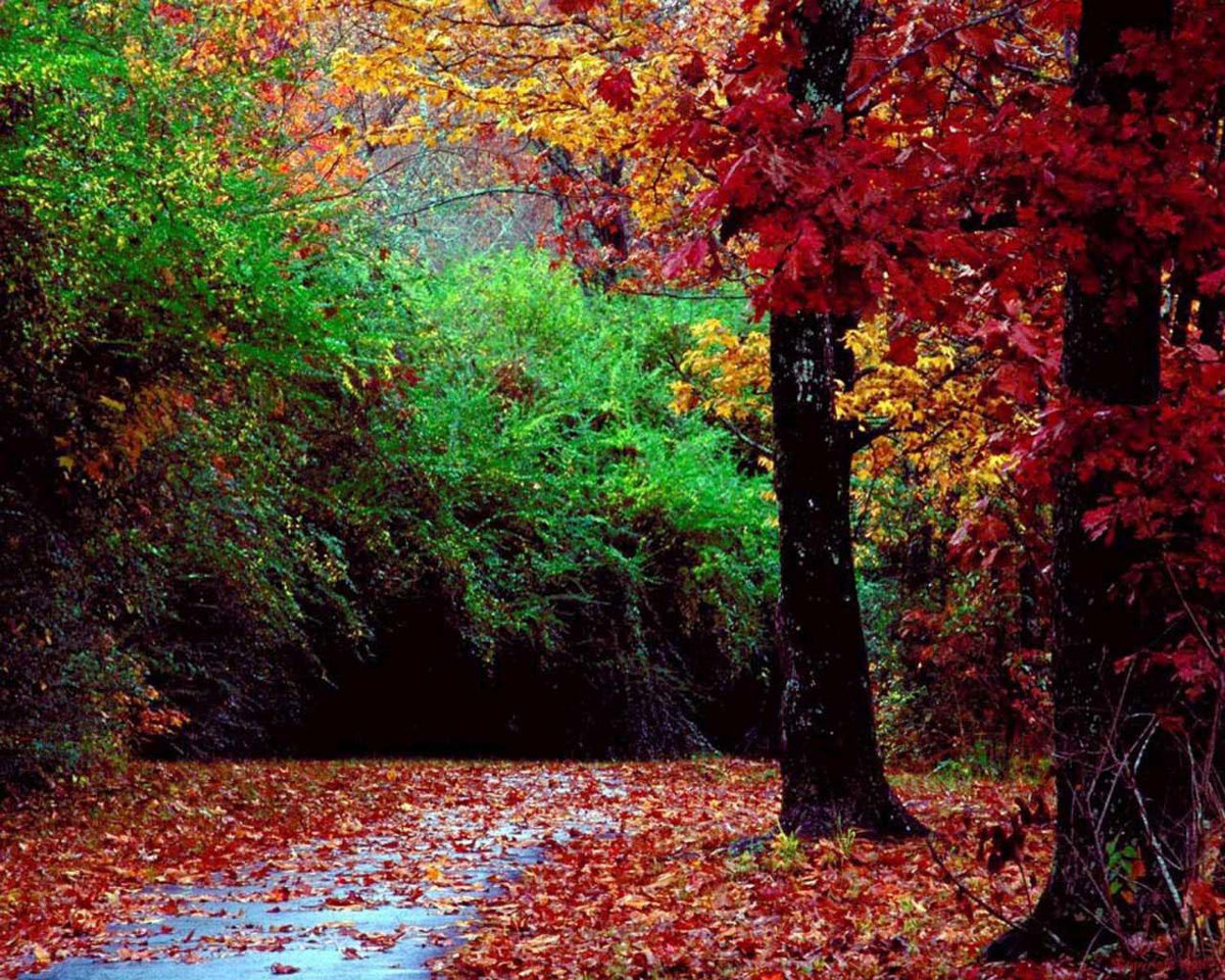 COTECOSY's tweet photo. L'automne est arrivé ! http://t.co/zQ0tjOYD55