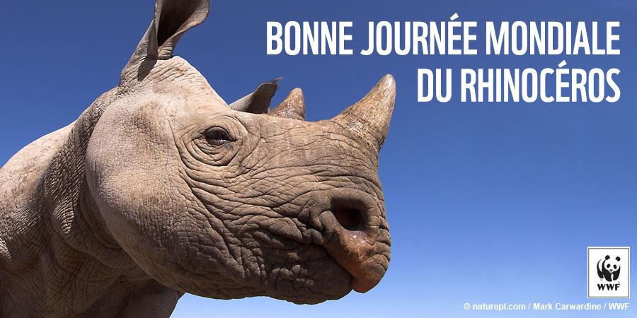 WWF France 🐼 tweet media