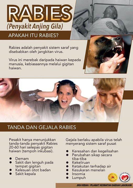 Kkmalaysia On Twitter Apakah Itu Rabies Tanda Gejala Tindakan Yang Perlu Dilakukan Jika Digigit Dan Pencegahan Penyakit Rabies Http T Co T0bd7u5on9 Twitter