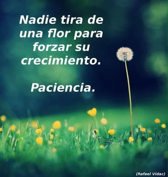 PROYECTOHOY's tweet image. 