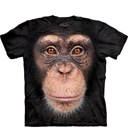 Een flink aantal nieuwe The Mountain kinder shirts toegevoegd!
aan leukekindershirts.nl/webshop/the-mo…
FB facebook.com/Leukekindershi…