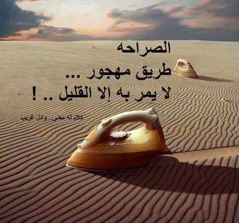 الحوت tweet media