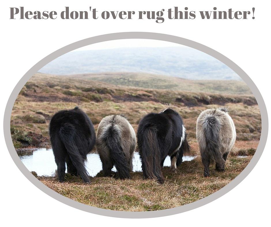 Superfixed's tweet photo. Please don't over rug this winter! http://t.co/YAeI1YxeG0 http://t.co/ngQEo3V3Dt