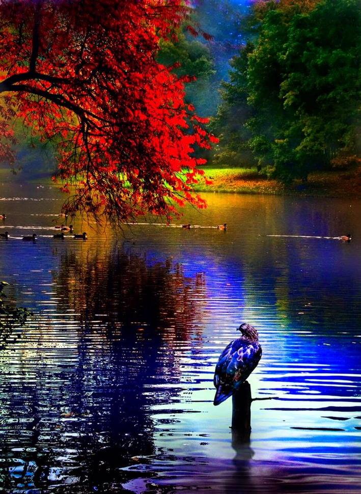vincentmenezes's tweet photo. #Inthedepth
#ofsilence ~
#life~is a
#poetryofpeace ~ ~
.@gede_prama
http://t.co/13qFBaRhlz
http://t.co/UrAHybrJmY