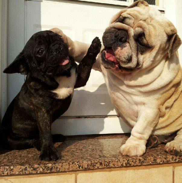 MamaPachaWraps's tweet photo. High 5 it's Friday!!! http://t.co/6bhYDV0Zw4