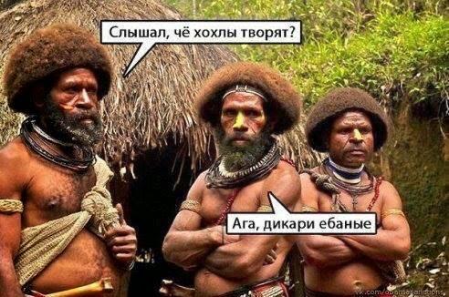 Точка  зрения  иностранных аналитиков.