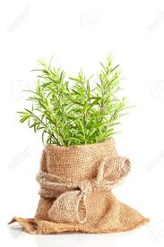 mwpweb's tweet image. Me sentí en eje, espléndida, sería una linda noche de armonía. SOLA! miweddingplanner.com.ar/ser-sola/