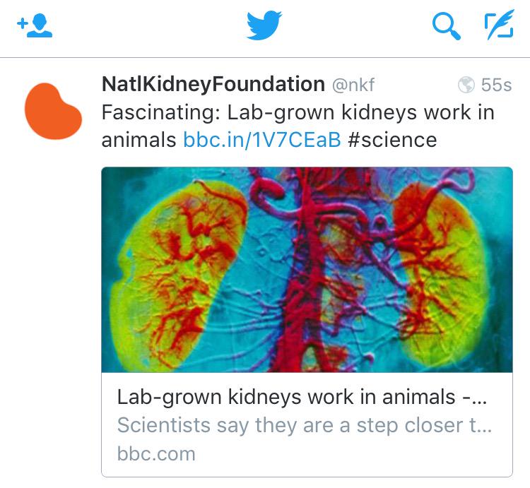 Als dat toch eens waar zou zijn ...