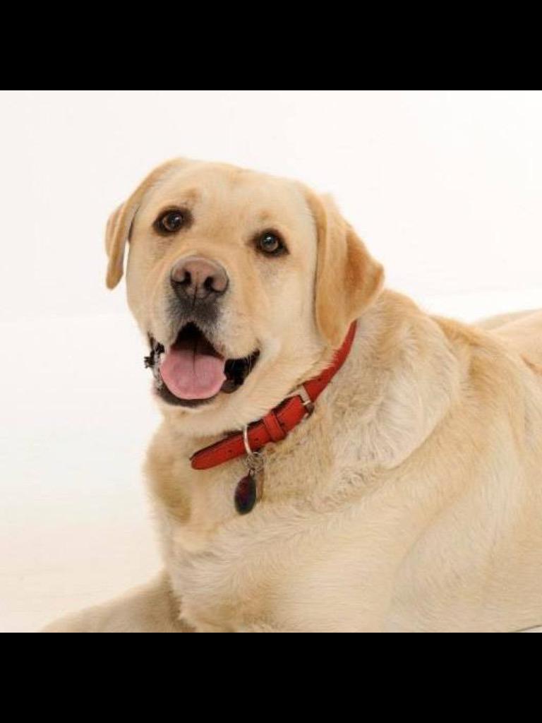 Beau 💕💕💕💕⭐️⭐️