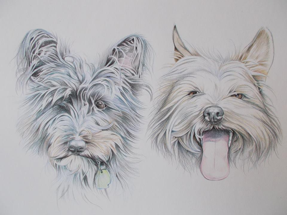 artofdavidsmith's tweet photo. @luvYorkshireuk Yorkshire artist looking for new commissions. If you need artwork/ illustration get in contact. #RT http://t.co/Yss6oYX7uF
