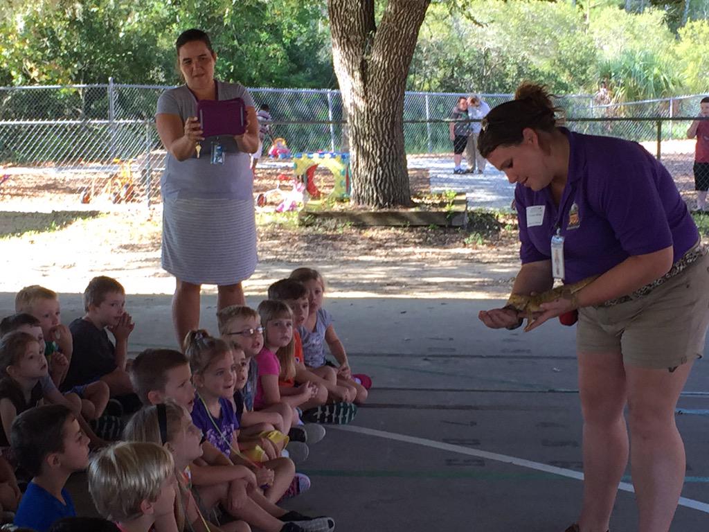 margpolen's tweet photo. Lowry Park Zoo visit for Kindergarten today. http://t.co/dkSaTD0ijC