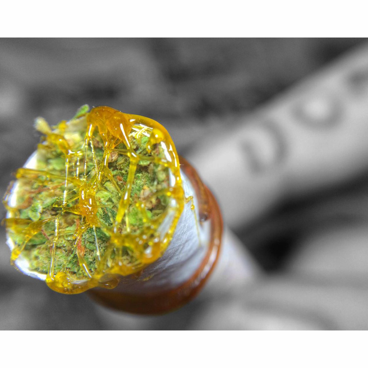 BuddhaSeeds's tweet photo. #Feliz420time #fumatines #marihuana #cannabis #Buenoshumos http://t.co/t9XGfIOvSH