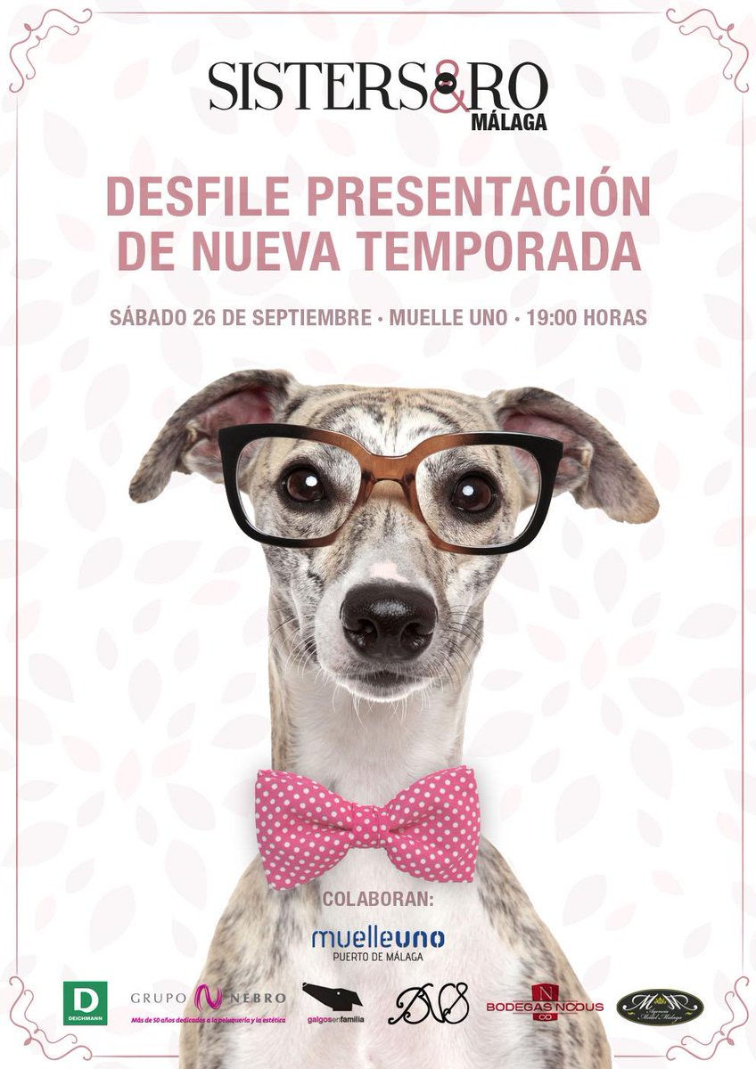 Sisters&Ro tweet media