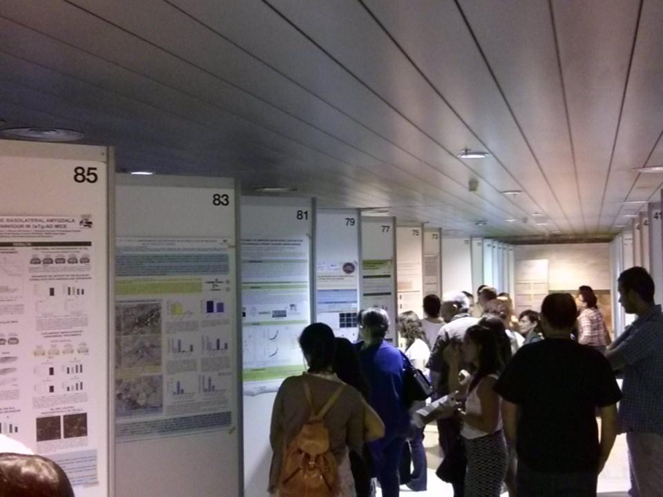 SEICannabinoide's tweet photo. Pistoletazo de salida para la sesión de pósters de la @SEICannabinoide  #SEIC2015 #SENC2015 http://t.co/lcaqyKd4CN
