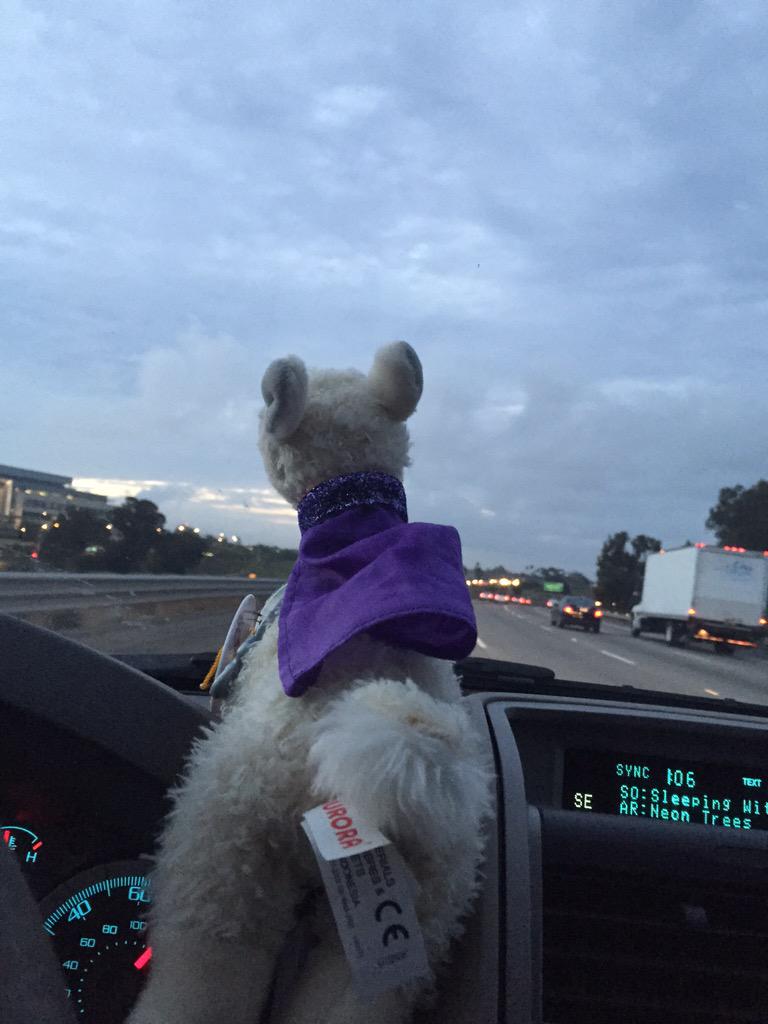 jodavisITC's tweet photo. Headed to San Diego for some training. #followflopsie #mieexpert http://t.co/DQD0gD24fp
