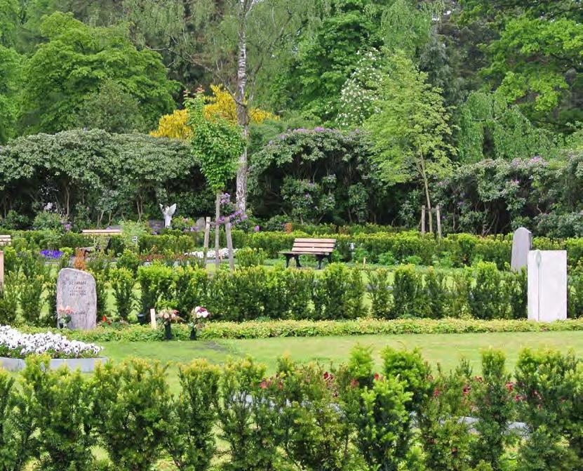 Realistische Perspektiven auf Zukunft für des #Friedhofs 
Fachtagung der HS Geisenheim
bestatter.de/index.php?id=7…