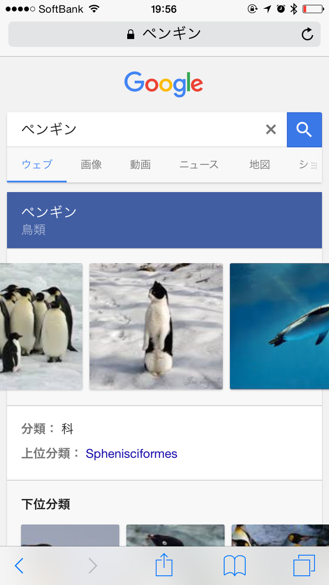 擬態 ペンギンで画像検索したら完全にペンギンじゃない奴が出てきた Togetter 擬態 ペンギンで画像検索したら完全にペンギンじゃない奴が出てきた Togetter
