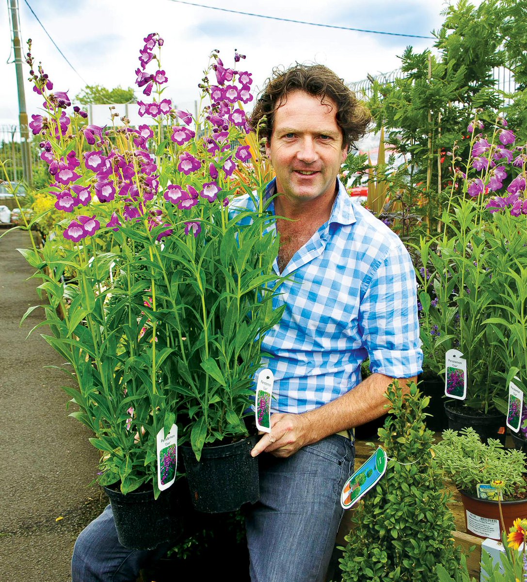 leedscastleuk's tweet photo. Pop down for the official opening of our #LCFlowerFest by celebrity garden designer Diarmuid Gavin at 2.30pm today... http://t.co/fACRX5poNT