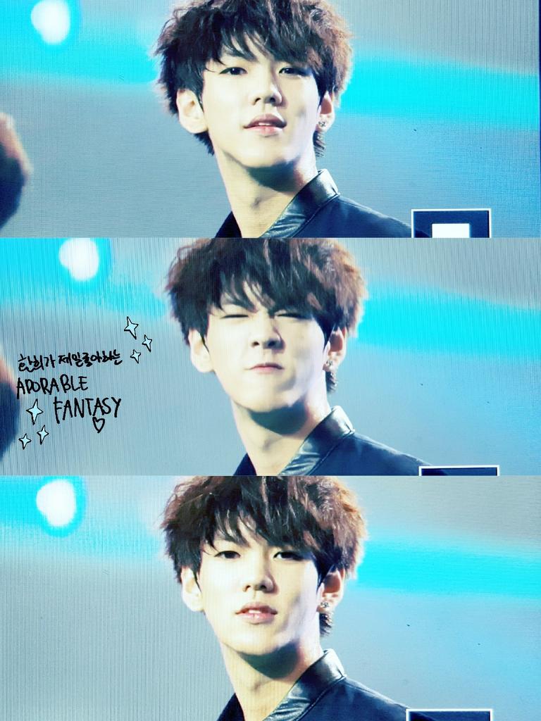 길 잃은 유기견 주인 찾아주던 아이돌.jpg (인성갑인듯ㅠㅠ) | 인스티즈