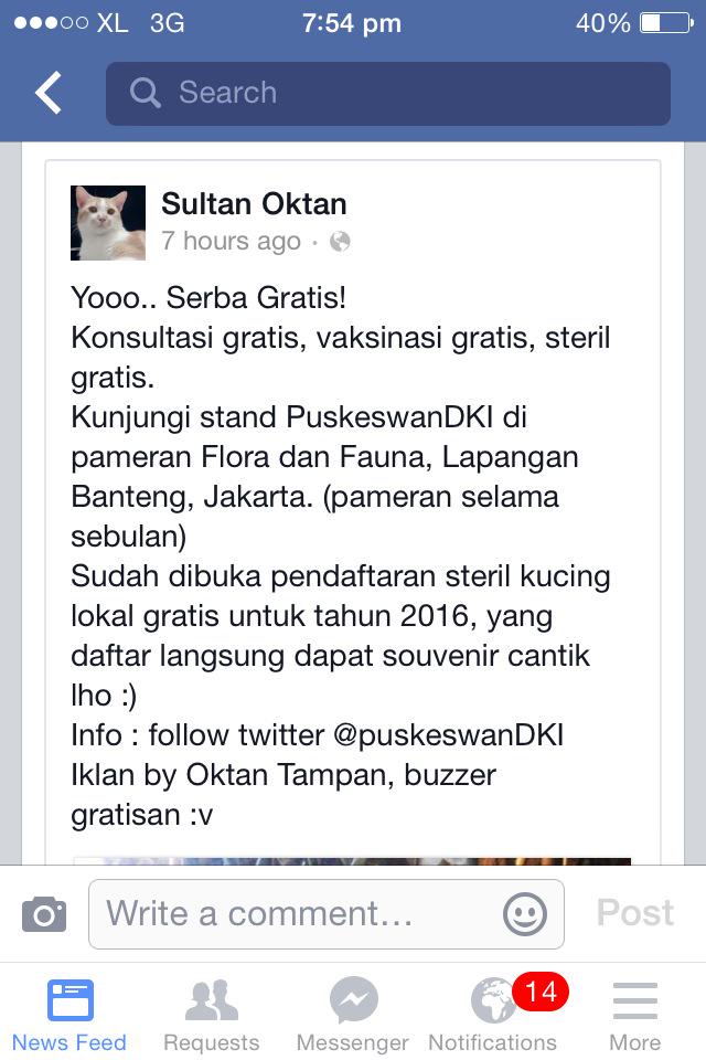 sonyailham's tweet photo. Daftar yukkk Steril Kucing Domestik  Gratis khusus DKI Jakarta. @puskeswanDKI @SahabatMeong @PecintaKucing05 http://t.co/z5yusPmLL0