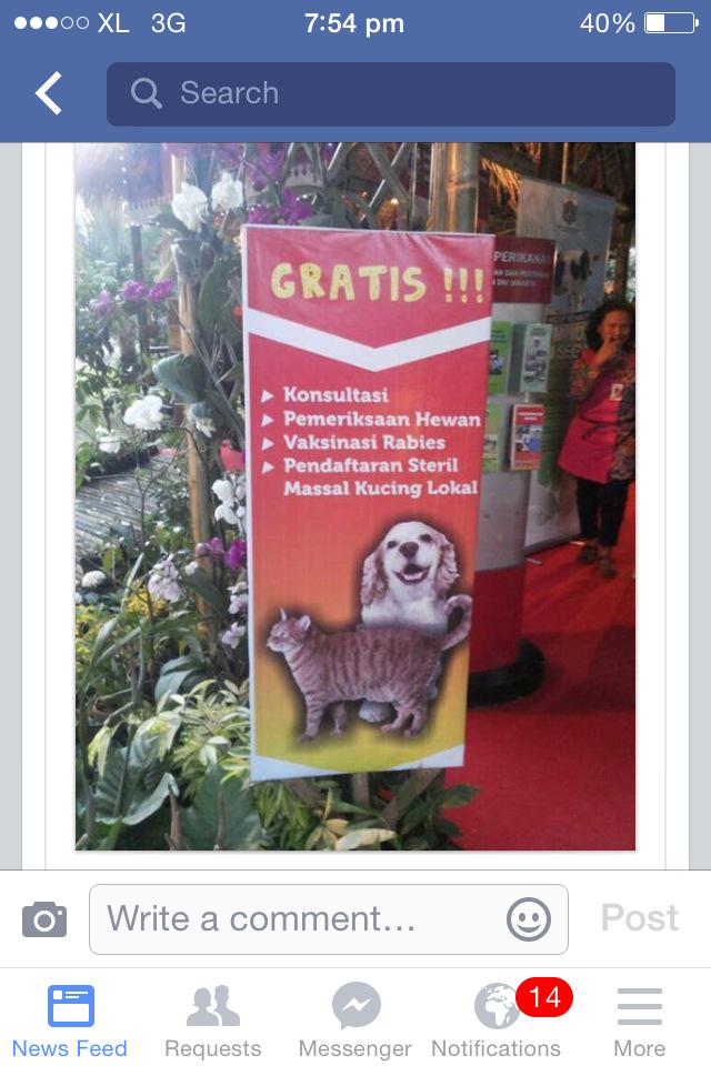 sonyailham's tweet photo. Daftar yukkk Steril Kucing Domestik  Gratis khusus DKI Jakarta. @puskeswanDKI @SahabatMeong @PecintaKucing05 http://t.co/z5yusPmLL0