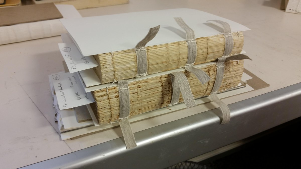 A little batch work on the lab manager's bench; sewing on new endsheets. #TypicalTuesday in Conservation.