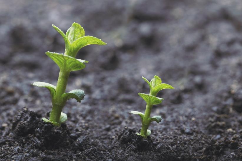 jstorres's tweet photo. What You Can Gain From Having a Growth Team http://t.co/97jX51t5k8 | https://t.co/DYMhdBRdGS http://t.co/v3wOQoswE7