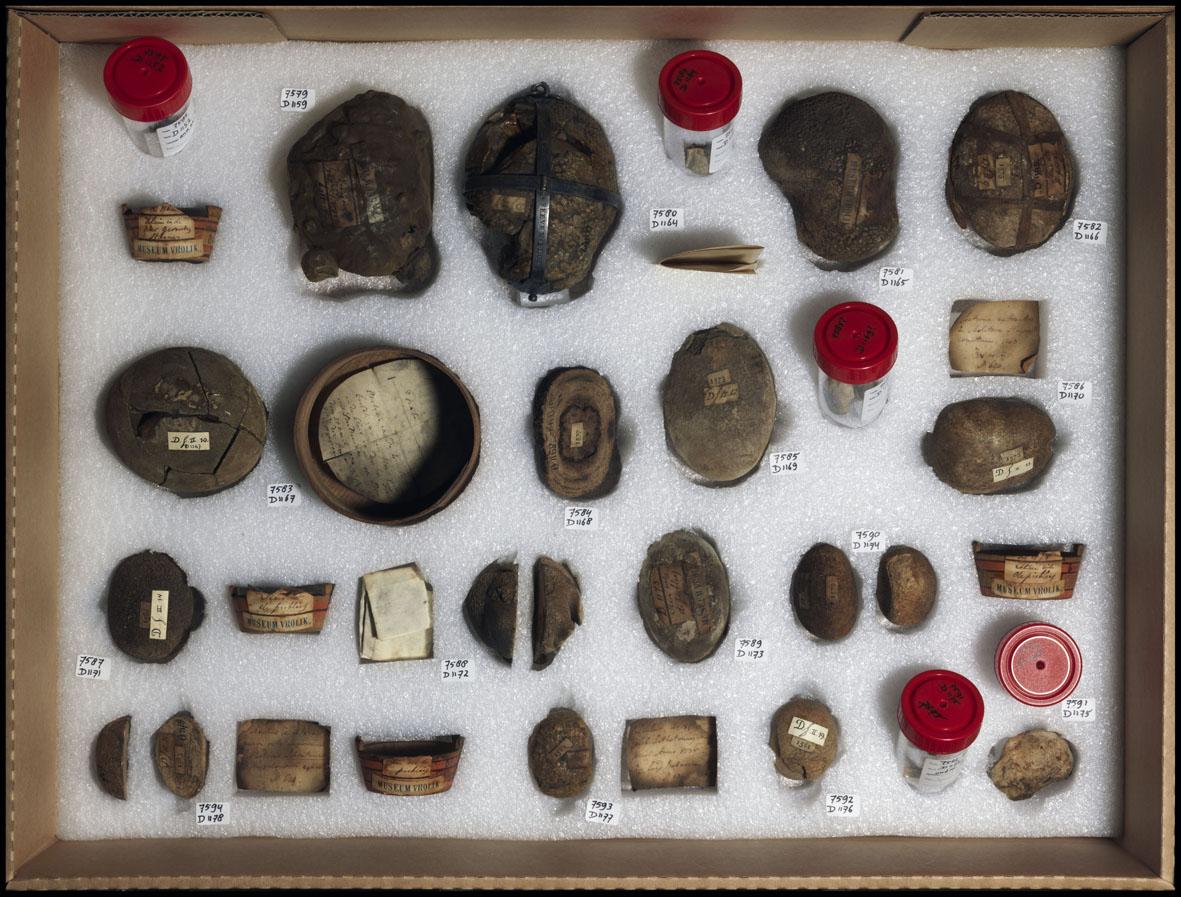 Museum Vrolik is looking for a new Collection manager!  See on amc.nl/web/Het-AMC/We… for more information!