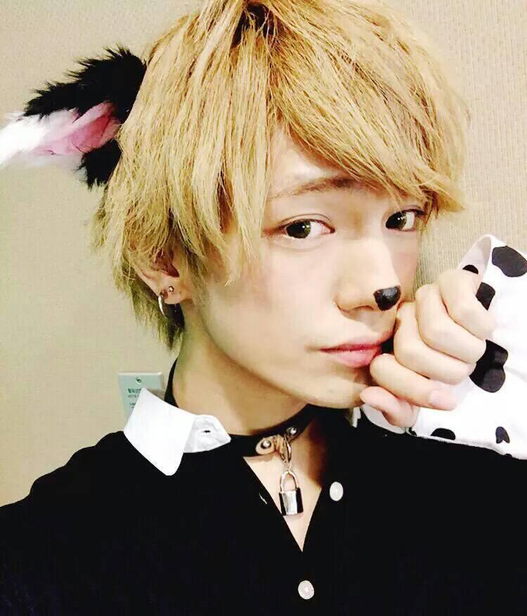 Dao 다오 俺も犬メイクしてding着て耳つけたい 欲 犬顔男児 わんっ Http T Co 3nyvdjqhhn Twitter