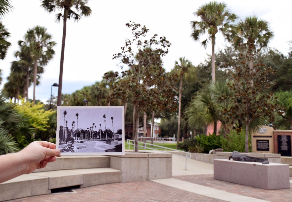 UFdcp's tweet photo. DCP alum Gloria Mayberry chose the plant palette at @UF stadium's north end zone. #UFDCP90 #TransformationTuesday http://t.co/9gkkqufdVv