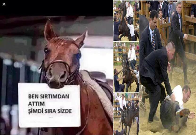 1 kasımda bu "hayvan" kadar onurunuz kaldıysa Basın mührü HDP'ye siz de sırtınızdan atın..