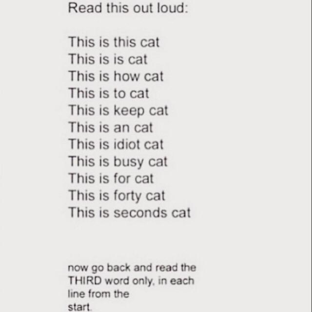 Brooke_S_Gray's tweet photo. I love this http://t.co/Y5im7jd2Sa