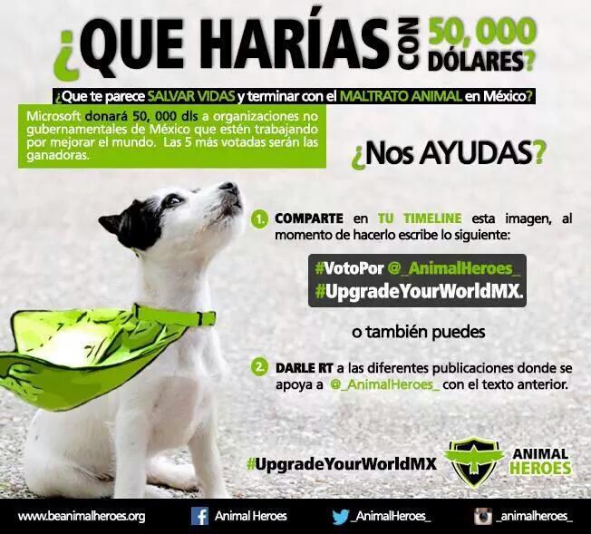 tuyyocon10's tweet photo. Y por los animales cuando vamos a hacer algo? ¿Son seres vivos, no? 
#VotoPor @_AnimalHeroes_  #UpgradeYourWorldMX http://t.co/MEpVXJEG7t