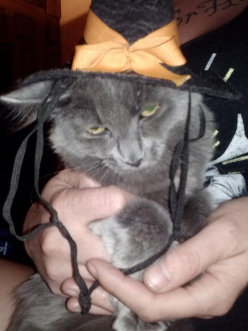 The hat always wins. http://t.co/8i7S28Iyba
