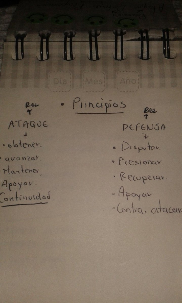 Los principios (objetivos) del Rugby, son un pilar esencial en la planificación del entrenamiento.