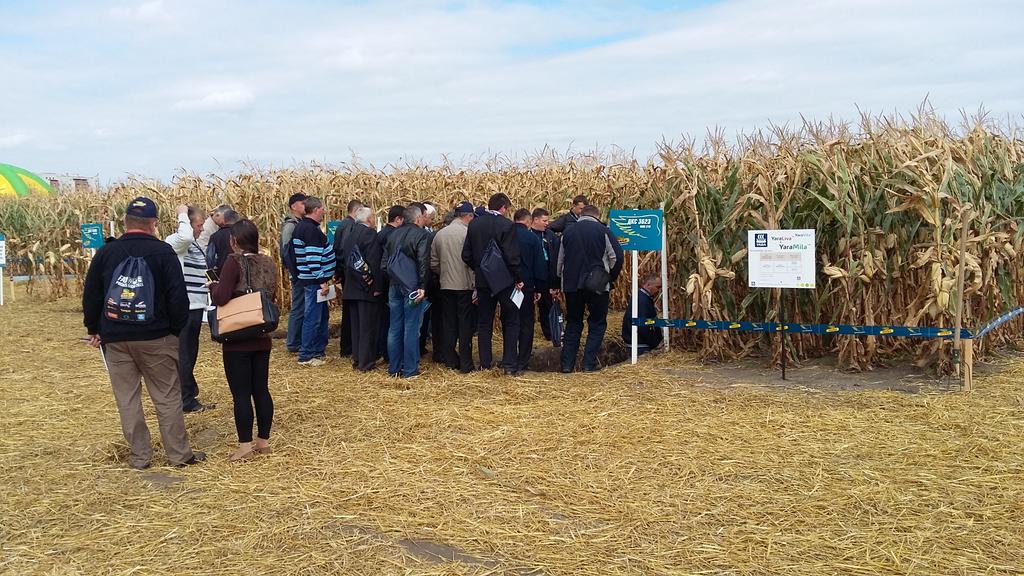olehnakonechnyi's tweet photo. Увагу відвідувачів на Farm Progres Show в Тернлполі, привернув розвиток кориневої системи ку-дзи, з YaraMila 12-24-12 http://t.co/cNESeLS8yf