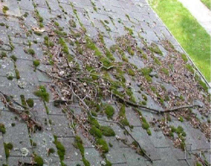 WindowBright1's tweet image. Dirty roof from the rain? Call Window Bright! 702-497-6342