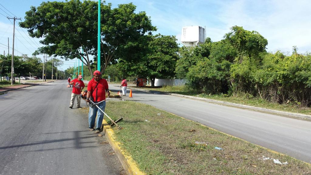 BrigBienestar's tweet photo. Podado y limpieza en camellones y espacios peatonales, sobre av. Insurgentes en la capital.
@betoborge http://t.co/c9zUkLHctY