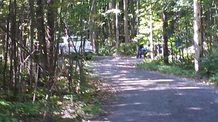 TVA Nouvelles tweet media