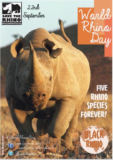 savetherhino's tweet image. Black rhinos are critically endangered - only around 5,055 survive. Spread the word this #WorldRhinoDay